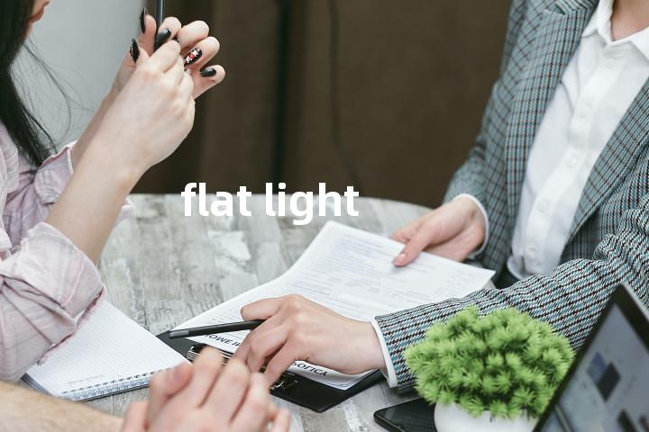 flat light单词图解，单词释义场景配图