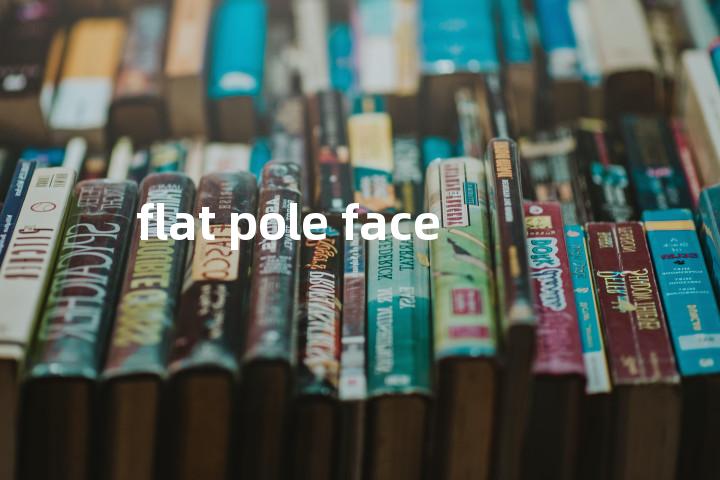 flat pole face单词图解，单词释义场景配图