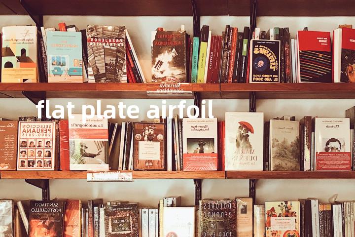flat plate airfoil单词图解，单词释义场景配图