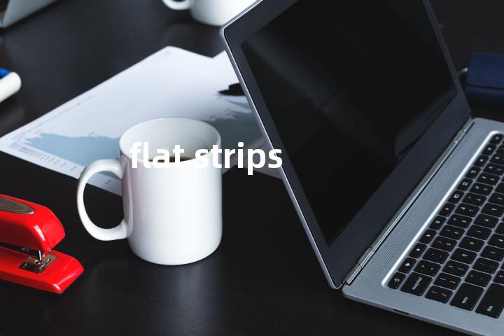 flat strips单词图解，单词释义场景配图