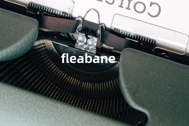 fleabane