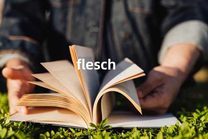 flesch单词图解，单词释义场景配图