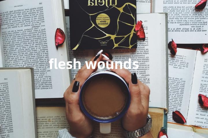 flesh wounds单词图解，单词释义场景配图