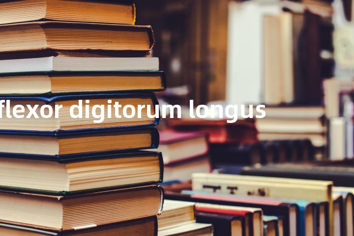 flexor digitorum longus单词图解，单词释义场景配图