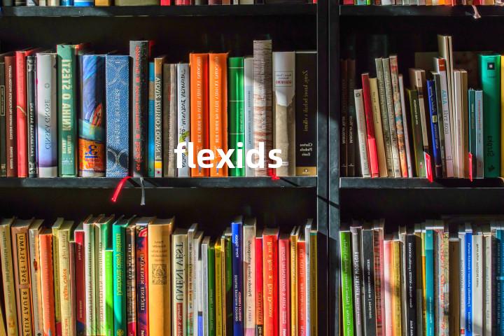 flexids单词图解，单词释义场景配图