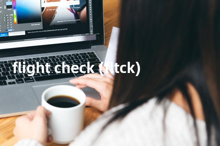 flight check (fltck)单词图解，单词释义场景配图