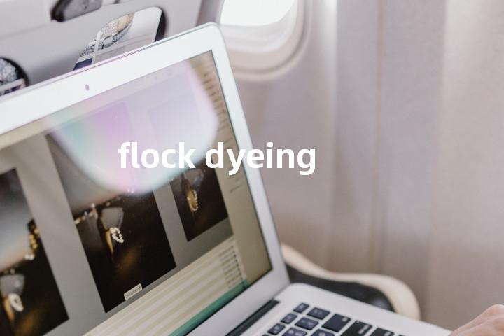 flock dyeing单词图解，单词释义场景配图