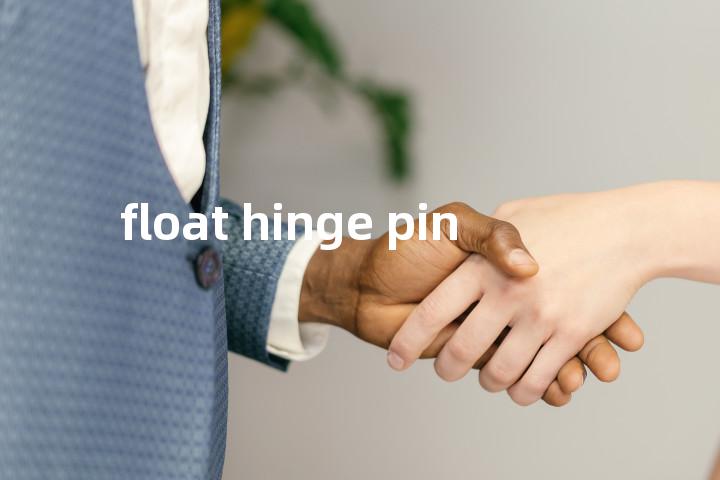 float hinge pin单词图解，单词释义场景配图