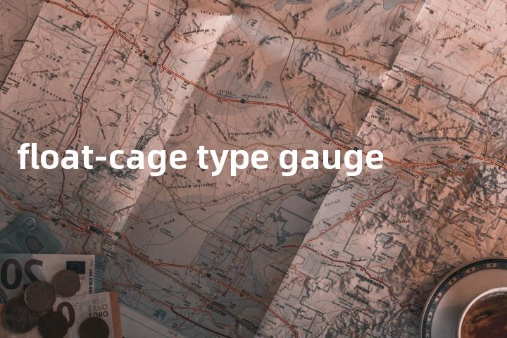 float-cage type gauge单词图解，单词释义场景配图