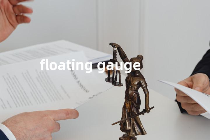 floating gauge单词图解，单词释义场景配图