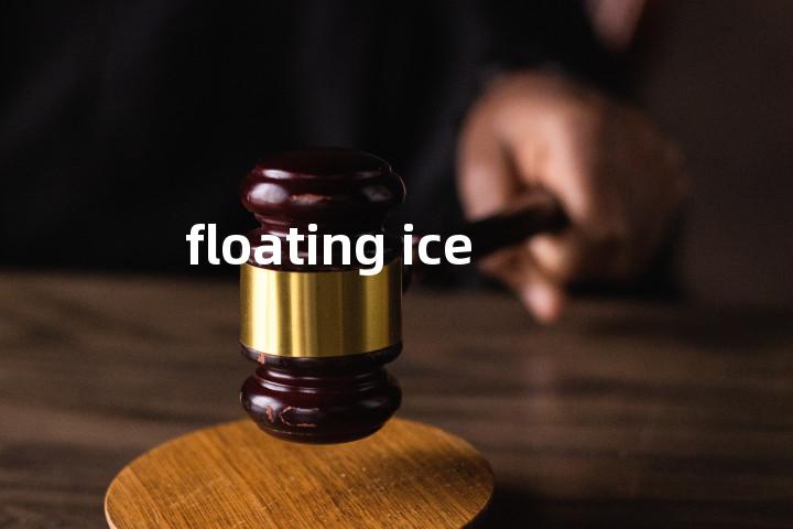 floating ice单词图解，单词释义场景配图