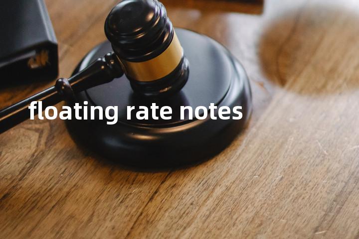 floating rate notes单词图解，单词释义场景配图