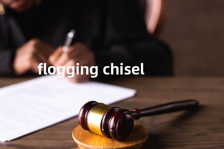 flogging chisel单词图解，单词释义场景配图