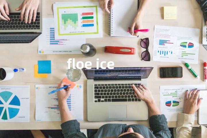floe ice单词图解，单词释义场景配图