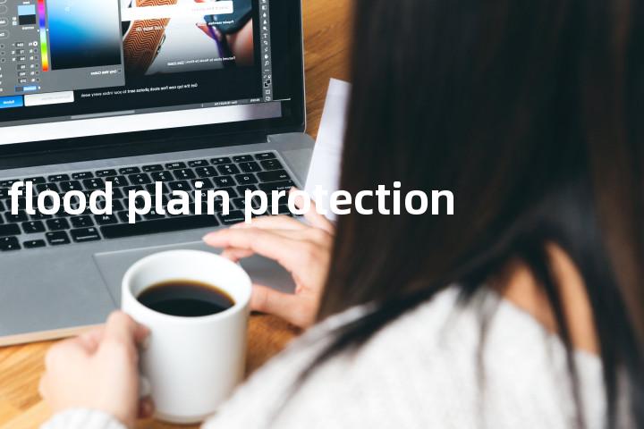 flood plain protection单词图解，单词释义场景配图