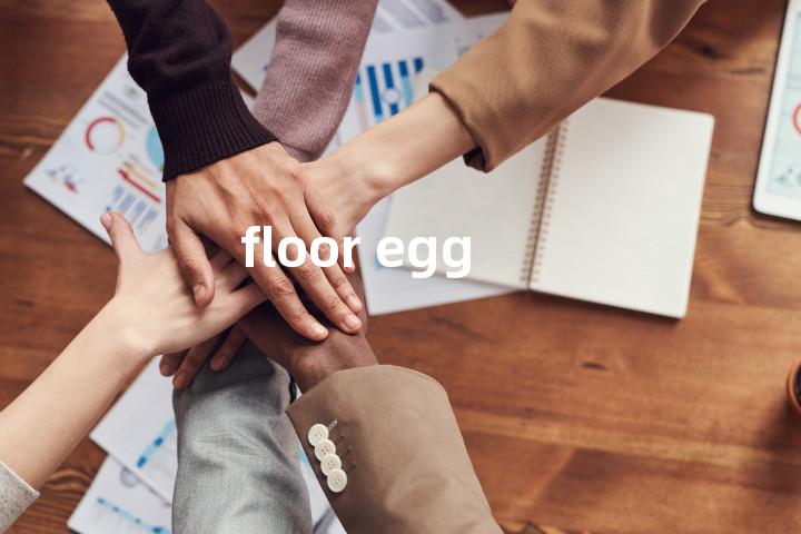 floor egg单词图解，单词释义场景配图