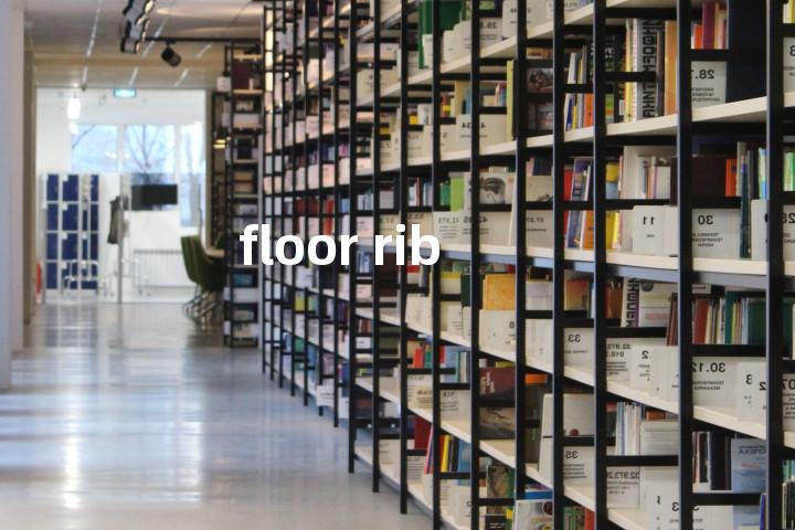 floor rib单词图解，单词释义场景配图