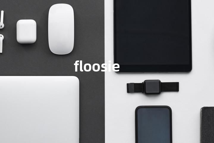 floosie单词图解，单词释义场景配图