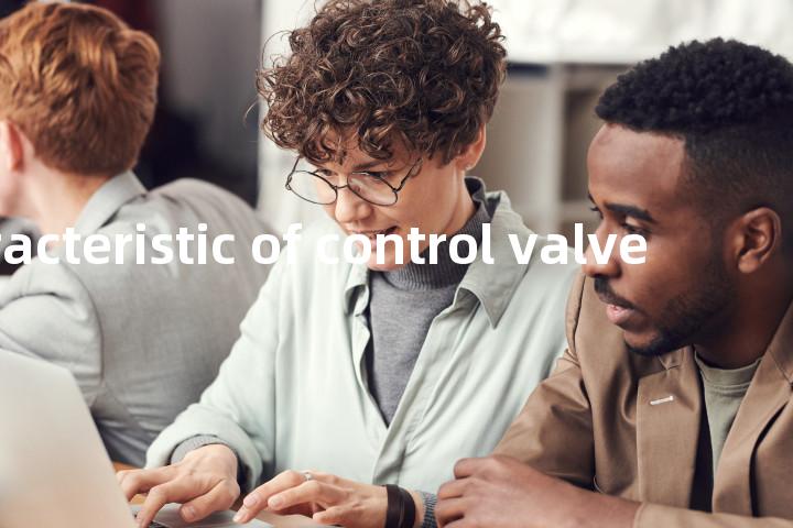 flow characteristic of control valve单词图解，单词释义场景配图
