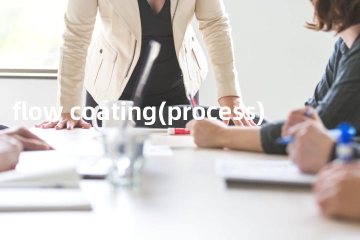 flow coating(process)单词图解，单词释义场景配图