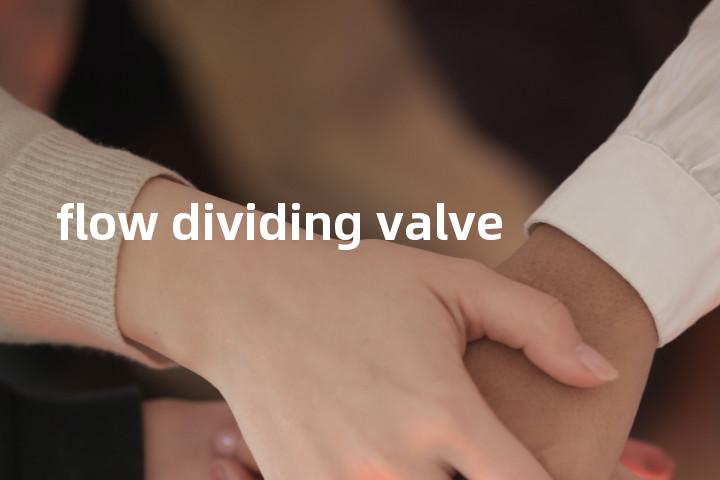 flow dividing valve单词图解，单词释义场景配图