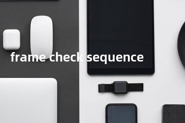 frame check sequence单词图解，单词释义场景配图