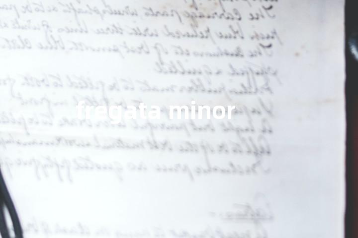 fregata minor单词图解，单词释义场景配图