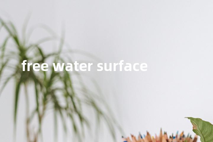 free water surface单词图解，单词释义场景配图