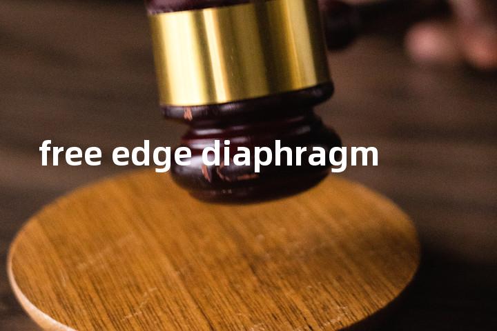 free edge diaphragm单词图解，单词释义场景配图