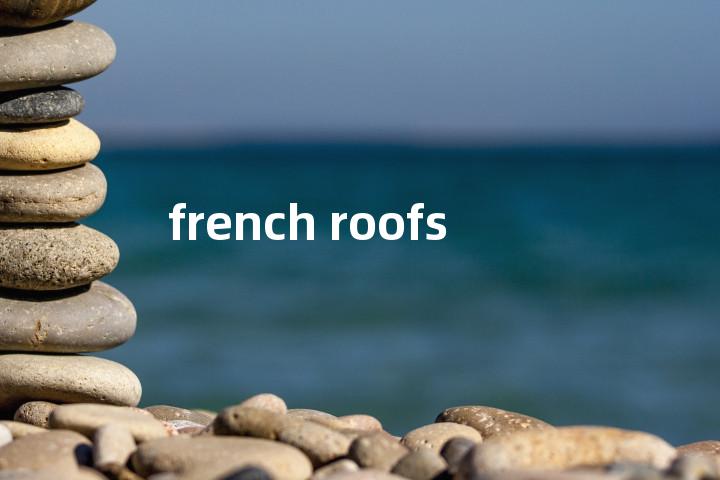 french roofs单词图解，单词释义场景配图