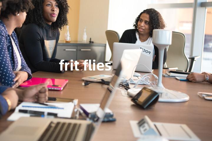 frit flies单词图解，单词释义场景配图