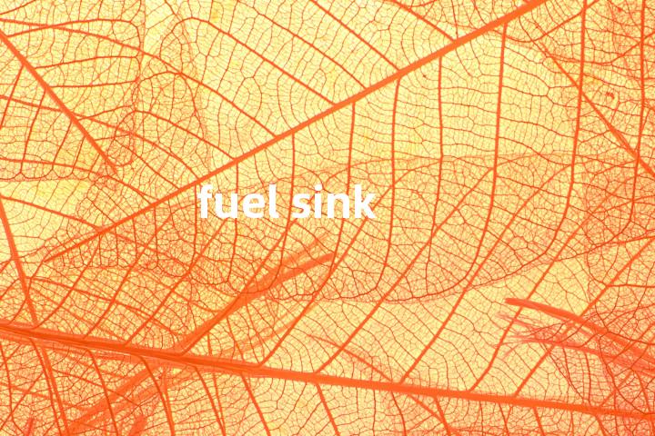 fuel sink单词图解，单词释义场景配图