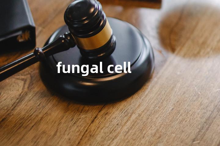 fungal cell单词图解，单词释义场景配图