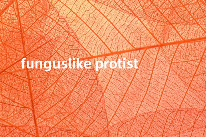 funguslike protist单词图解，单词释义场景配图