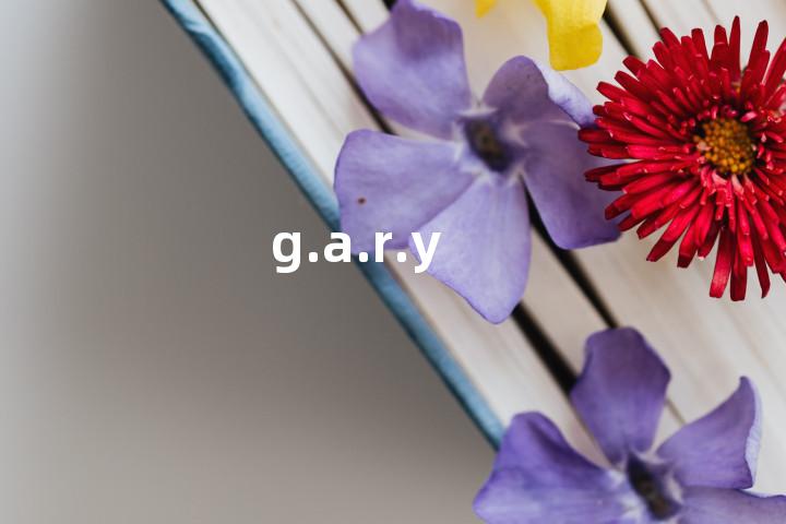 g.a.r.y单词图解，单词释义场景配图