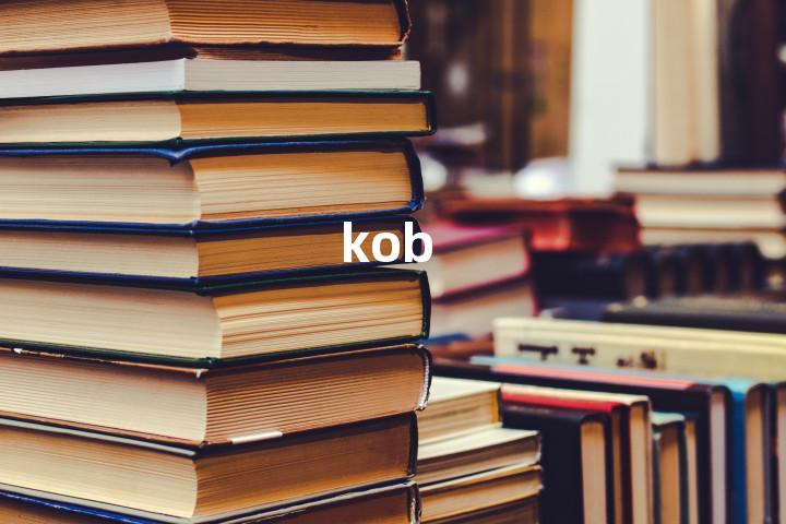 kob单词图解，单词释义场景配图