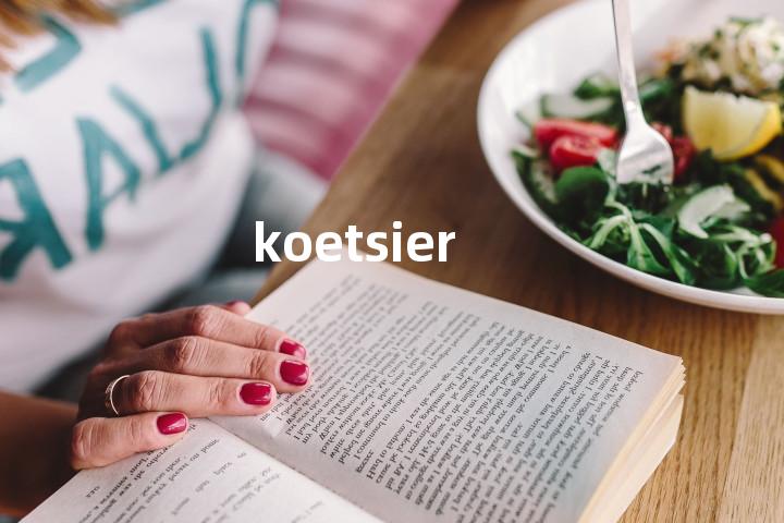 koetsier单词图解，单词释义场景配图