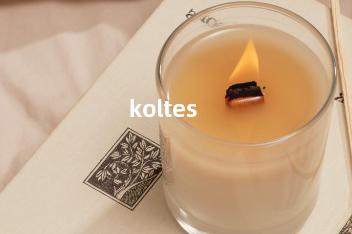 koltes单词图解，单词释义场景配图