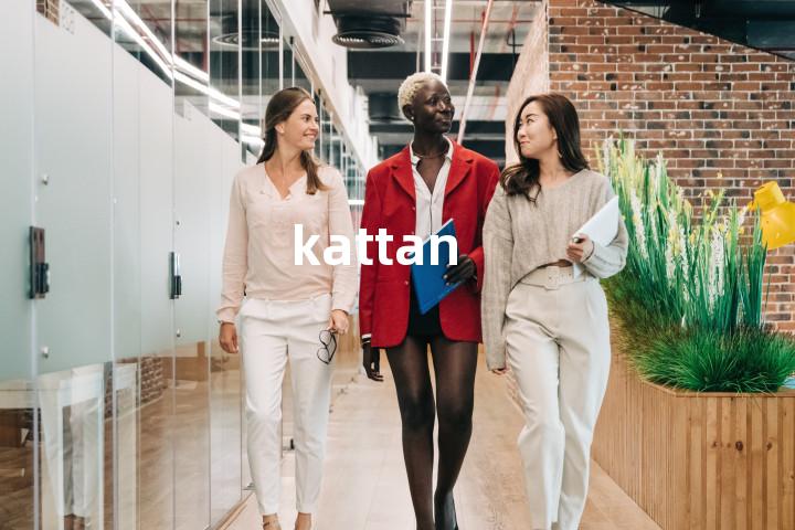 kattan单词图解，单词释义场景配图