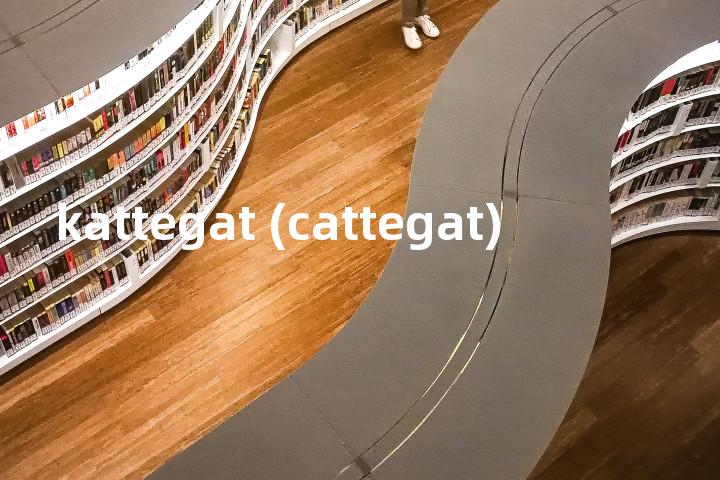kattegat (cattegat)单词图解，单词释义场景配图