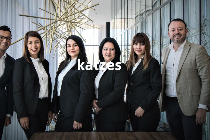 katzes单词图解，单词释义场景配图