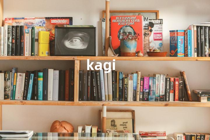 kagi单词图解，单词释义场景配图