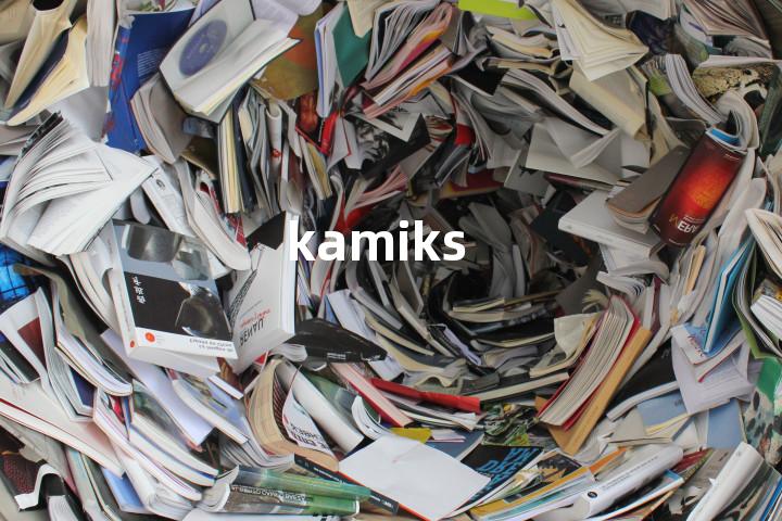 kamiks单词图解，单词释义场景配图