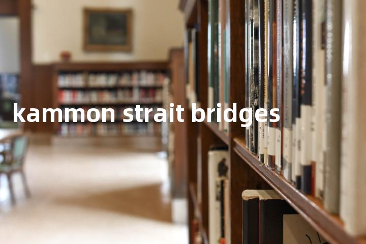 kammon strait bridges单词图解，单词释义场景配图
