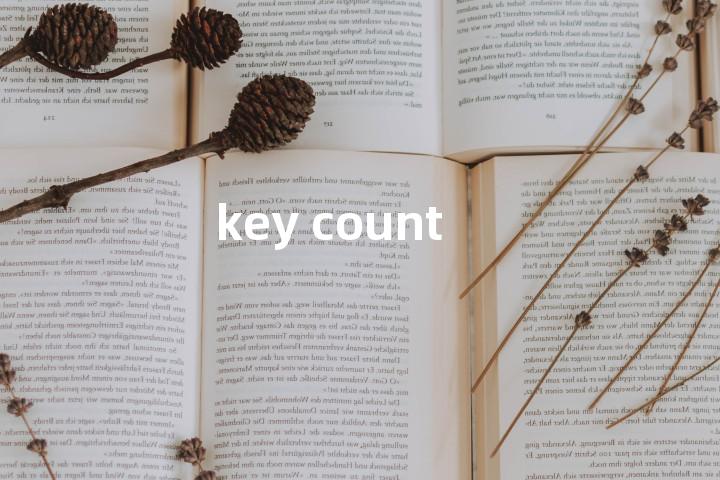 key count单词图解，单词释义场景配图