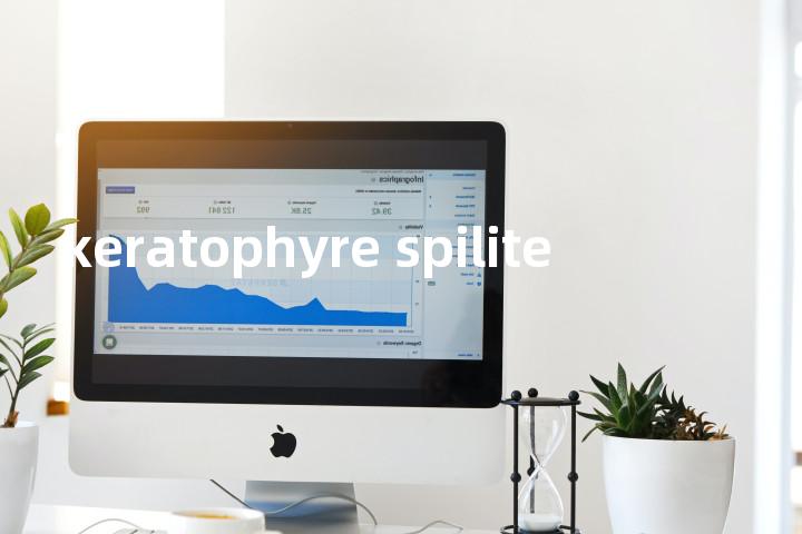 keratophyre spilite单词图解，单词释义场景配图