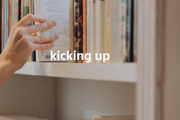 kicking up单词图解，单词释义场景配图