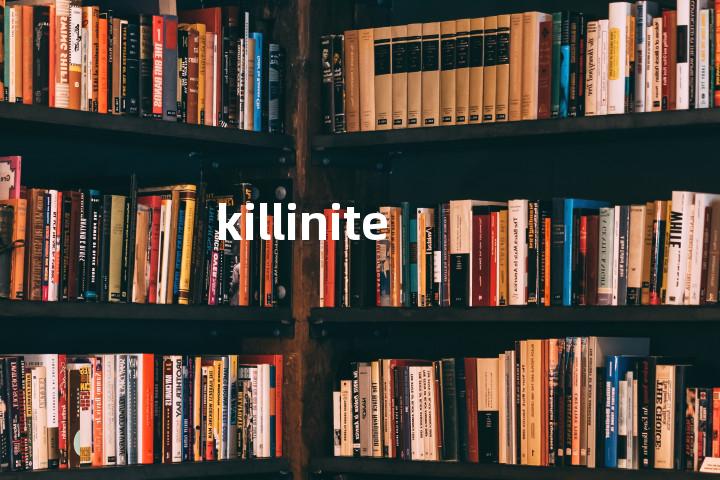 killinite单词图解，单词释义场景配图