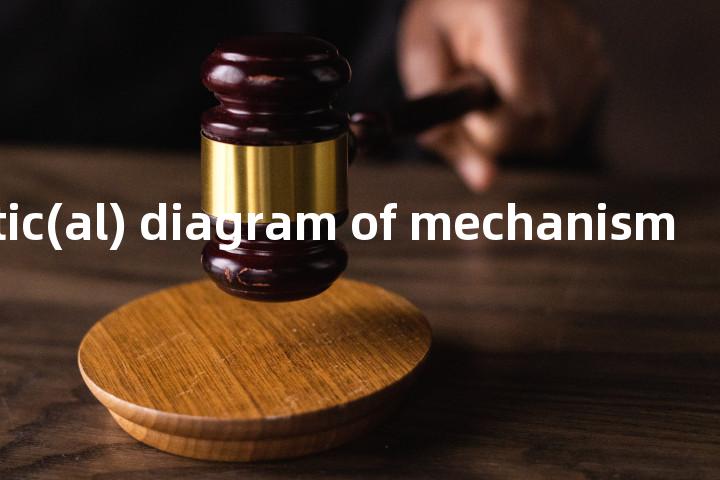 kinematic(al) diagram of mechanism单词图解，单词释义场景配图