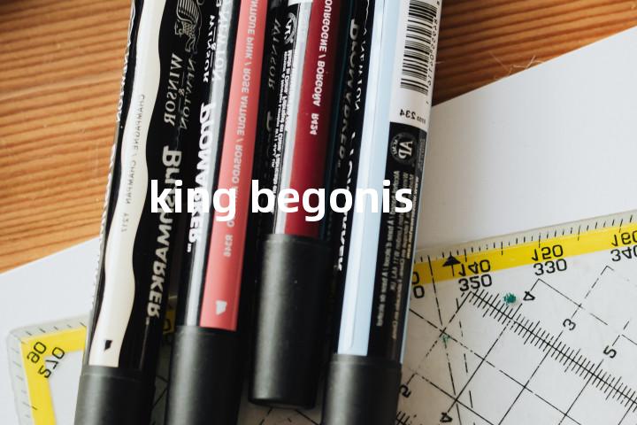 king begonis单词图解，单词释义场景配图